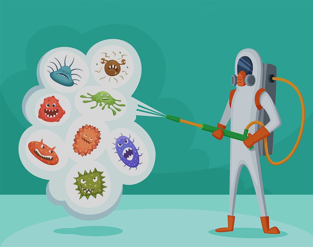 corona horario de apertura