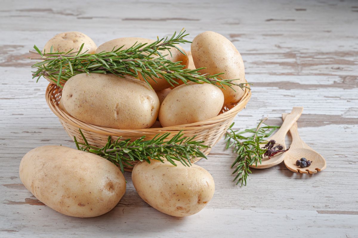 Todo sobre la versátil patata: origen, nutrientes y preparación de albóndigas, patatas fritas y mucho más