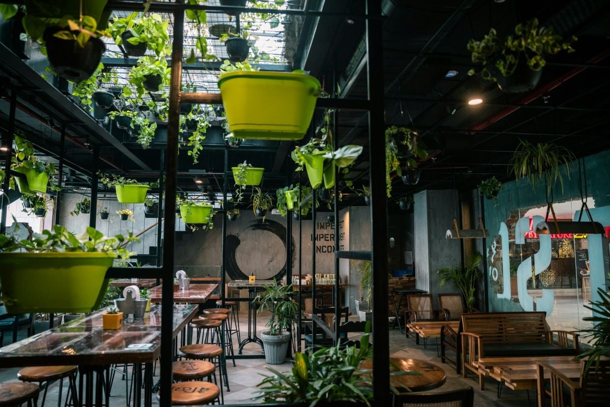 Disfrute sostenible: Cómo los restaurantes pueden volverse ecológicos
