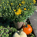 Stowe Sandwich Company Exterior