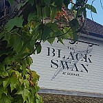 The Black Swan Ockham unknown