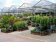 Tamar View Nurseries And Garden Centre outside