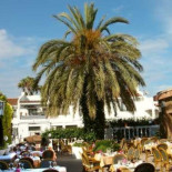 El Patio Del Faro inside