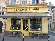 Camel à Léon inside