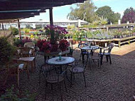 Greenhouse Cafe inside