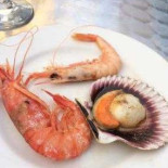 Cerveceria Rosita Comida