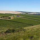 Rathfinny Tasting Room inside