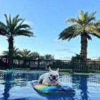 3hào Kā Fēi No.3 Cafe Carta