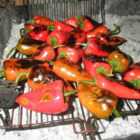 La Galera Bar Restaurante Asador Sidreria Comida
