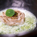 Fishølogy Nourriture