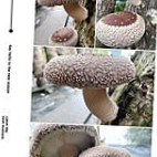 Bā Jiǎ Xiū Xián Yú Chǎng Dentro