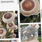 Bā Jiǎ Xiū Xián Yú Chǎng Carta