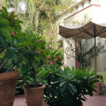 Los Arrayanes Cafe Exterior