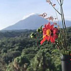 El Fresnal Asador Campestre food