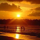 Froggy Sri Lanka Comida