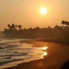 Froggy Sri Lanka Comida