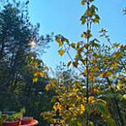 Tǎ Tǎ Jiā Cān Yǐn Bù Yún Bào Xiū Xián Yǒu Xiàn Gōng Sī Exterior