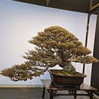 § Bǎo Dé Wàng Fǎ Guó Chá Fāng § Exterior