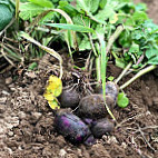 John's House Nourriture