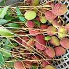 คันแท ริมคลอง ขอนแก่น Kantae Rimklong Khonkaen Comida