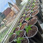 Komjatické Chilli Comida