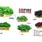 เอ็มไพร์ ไฮโดรฟาร์ม Exterior