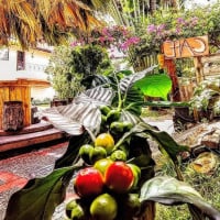 Start Café Nourriture