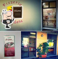 Pizzeria Amalfitana food