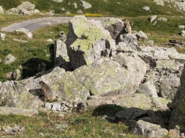 Col De Vars outside