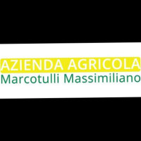 Azienda Agricola Marcotulli outside