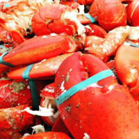Newport Lobster Shack (kitchen) food