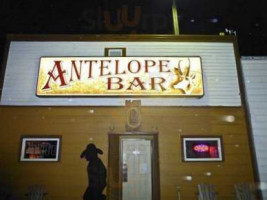 Antelope food