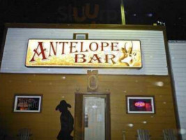 Antelope food