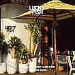 Lucky Fish inside