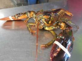 Markey's Lobster Pool food