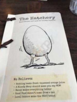 Hatchery food