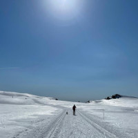 Segalstad Seter Mat Og Vinhus As Konkursbo outside