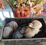 ฟิน ฟาร์ม outside