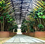 ฟิน ฟาร์ม outside