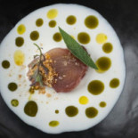 Fishølogy Nourriture