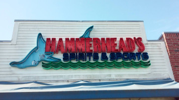 Hammerhead's food