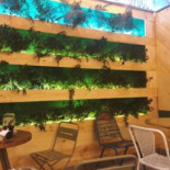 Tgb The Good Burger Albacete food