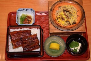 Hanamizuki Japanese food