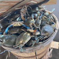 Masterbaiter's Crabs, Bait, Tackle food