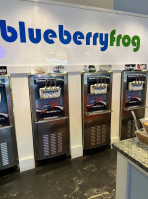 Blueberry Frog outside