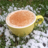 Bibo Coffee Company Bibo Freddo Gelato Comida