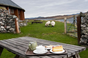 Callanish Visitor Centre Cafe food