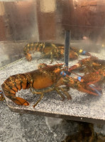 Red Lobster New Hartford food