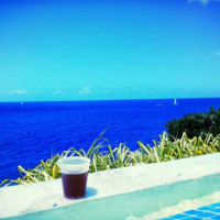 Marriott St. Thomas Pool Comida