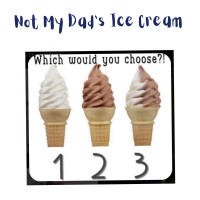 Not My Dad's Ice Cream inside